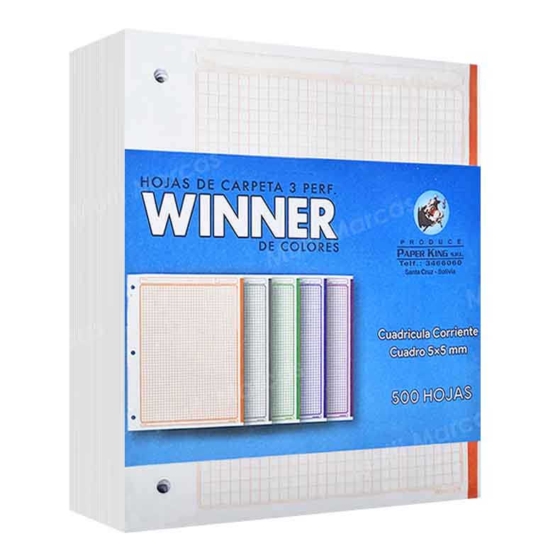 Hojas de Carpeta a Color Winner 