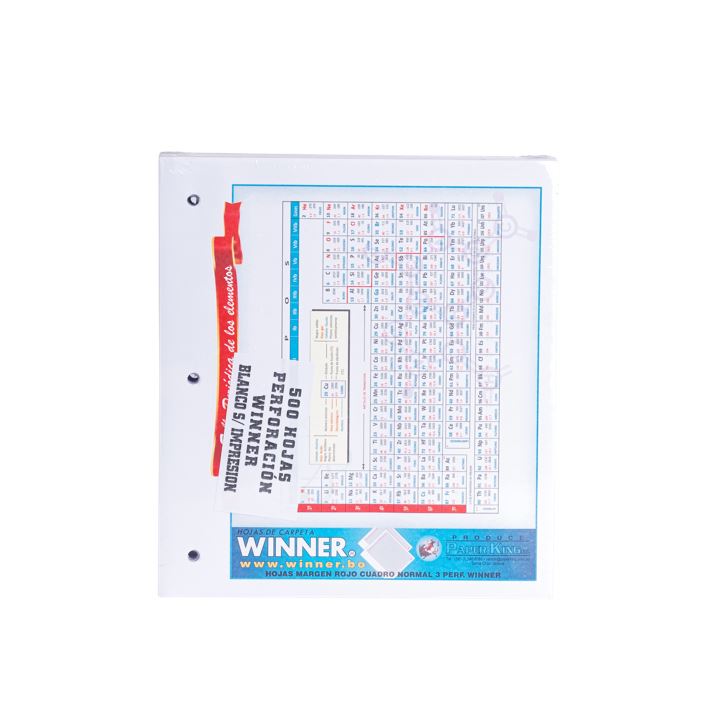 Hojas de Carpeta Blanco Winner 