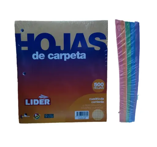 Hoja de carpeta Lider Color