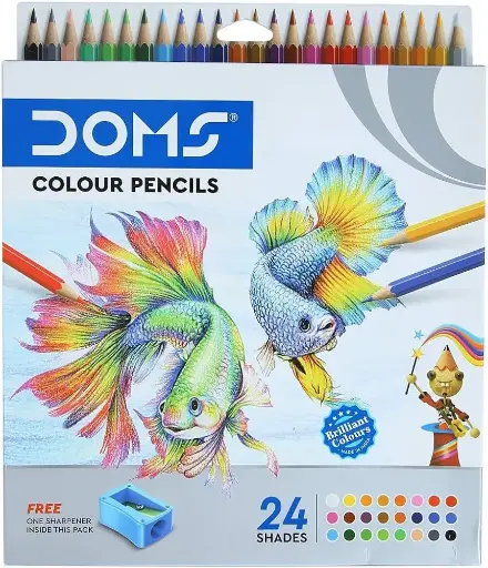 24 COLOR DOMS
